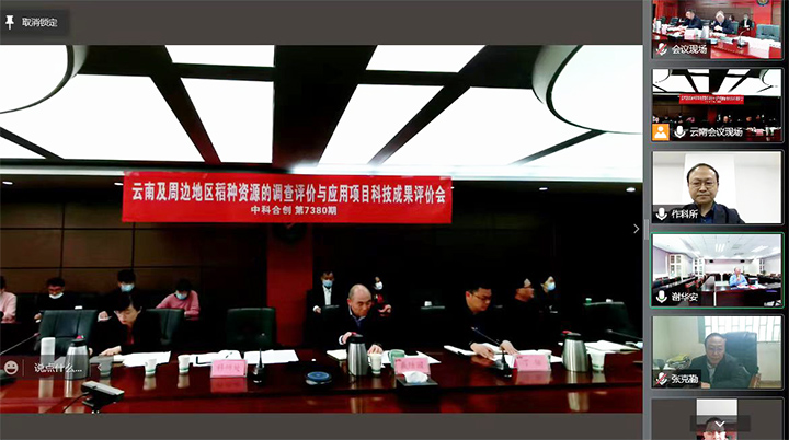 云南及周边地区稻种资源的调查评价与应用 1xiao.jpg